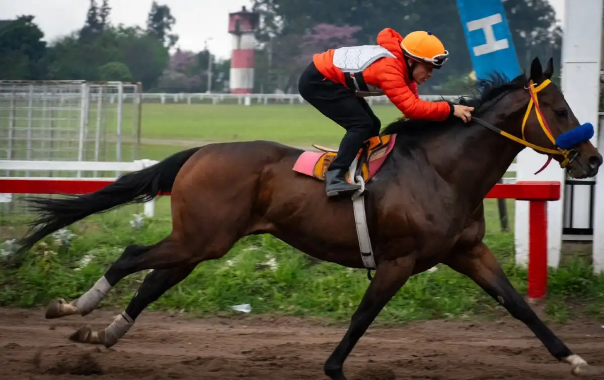 Ganó dos "Batalla", va por otro y ahora tendrá enfrente a sus ídolos