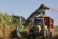 Un nuevo horizonte para el sector sucroalcoholero