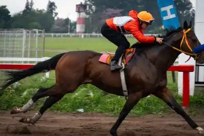 Ganó dos Batalla, va por otro y ahora tendrá enfrente a sus ídolos