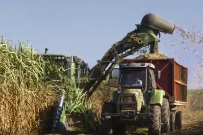 Un nuevo horizonte para el sector sucroalcoholero