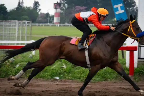 Ganó dos Batalla, va por otro y ahora tendrá enfrente a sus ídolos