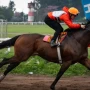 Ganó dos Batalla, va por otro y ahora tendrá enfrente a sus ídolos