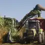 Un nuevo horizonte para el sector sucroalcoholero