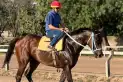 Del sueño cumplido a la ilusión de ganar el Gran Premio “Batalla de Tucumán”