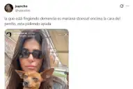 Reapareció la mamá de Tini Stoessel en las redes y un detalle molestó a los fans