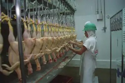 Granja Tres Arroyos ofreció pagar parte de los salarios con pollos a sus trabajadores