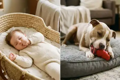 Lo que la neurociencia dice sobre la succión en bebés y el lamido en perros