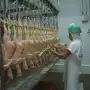 Granja Tres Arroyos ofreció pagar parte de los salarios con pollos a sus trabajadores