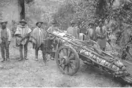 Recuerdos fotográficos: Luis Posse, fotógrafo y aviador tucumano de los años 10 y 20
