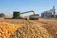Exportaciones argentinas: anuncian un récord en volumen comercializado por el país