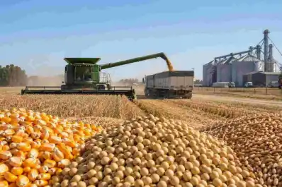 Exportaciones argentinas: anuncian un récord en volumen comercializado por el país