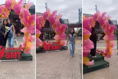 Flores y colores en la peatonal: ¿qué te parece el nuevo rincón primaveral?