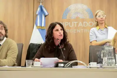 Reclamos por cultura en Diputados: bibliotecas, teatros y canales públicos cuestionaron al Gobierno