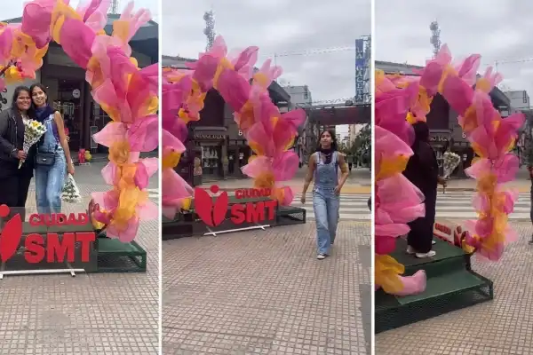 Flores y colores en la peatonal: ¿qué te parece el nuevo rincón primaveral?