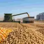 Exportaciones argentinas: anuncian un récord en volumen comercializado por el país