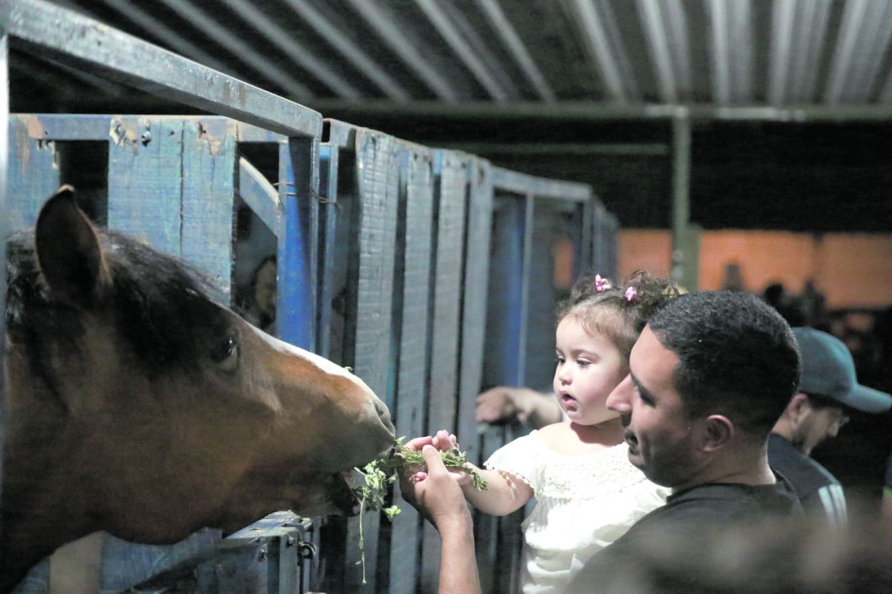 ATRACCIÓN. Los niños se deleitan con la presencia de los animales.