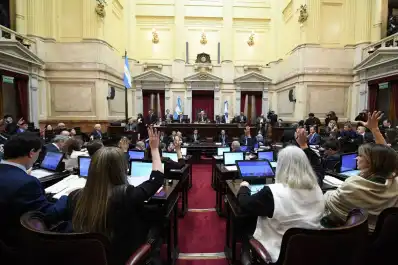 El Senado aprobó la reforma del Banco Central con cambios