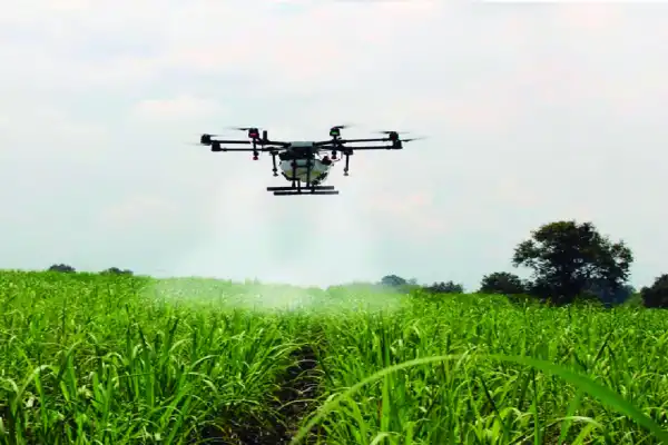 Senasa actualizó la autorización del uso de algunos productos
