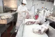 Récord histórico de exportaciones agroindustriales