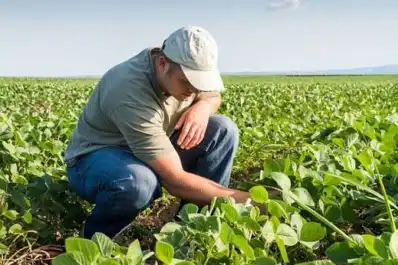 Período 2026 - 2030: el Colegio de Ingenieros Agrónomos y Zootecnistas renovó autoridades