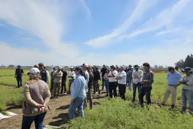 La Eeaoc presentó alternativas disponibles para la diversificación de cultivos invernales en la región