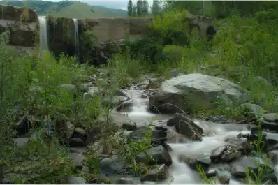 Cascadas cristalinas, ruinas, cielos limpios y nogales: dónde queda el rincón tucumano que resplandece en primavera