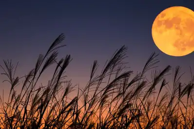 La Luna de la Cosecha iluminará el cielo de Tucumán esta noche: a qué hora se podrá ver