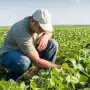 Período 2026 - 2030: el Colegio de Ingenieros Agrónomos y Zootecnistas renovó autoridades