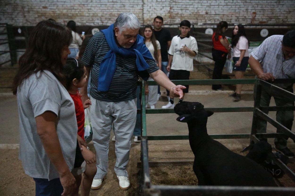 CONTACTO CERCANO. Los animales están al alcance de la mano.