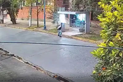 Romper una parada puede implicar un castigo de entre tres meses y cuatro años de prisión