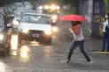 La segunda Santa Rosa: cuándo llegarán las primeras lluvias fuertes