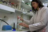 Una vacuna desarrollada en Tucumán busca prevenir Salmonella y Shigella con una sola dosis
