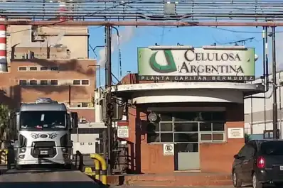 Celulosa Argentina pagó solo la mitad del sueldo y mantiene paralizada una de sus plantas