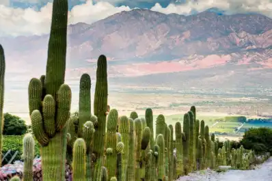 Ofrecen alojamiento gratis en Cafayate a cambio de trabajar 25 horas semanales en un hostel: cuáles son los requisitos
