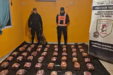 Contrabando: “Es necesario lanzar el Plan Güemes II porque los delincuentes cambiaron sus mecanismos”
