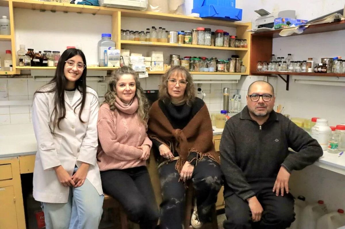 CIENCIA TUCUMANA. Investigadores de la UNT y el Conicet desarrollan una vacuna oral contra Salmonella y Shigella. 