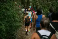 Yerba Buena lanza “Guardianes de las Yungas”: cómo participar del programa de formación