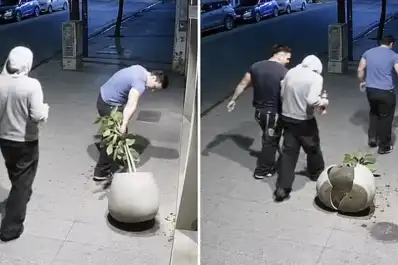 Rompieron una maceta de un local en Barrio Norte y volvieron con una nueva para pedir disculpas