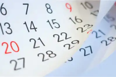 Octubre tendrá un nuevo fin de semana largo: qué día será feriado y cuántos quedan en el año