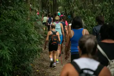 Yerba Buena lanza “Guardianes de las Yungas”: cómo participar del programa de formación