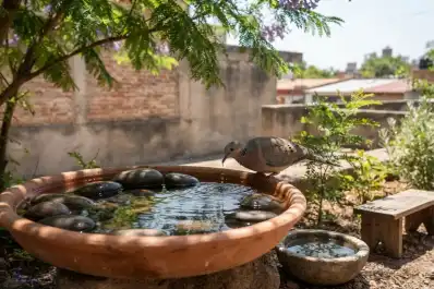 Cómo dar agua a los animales urbanos en verano sin poner en riesgo a los vecinos