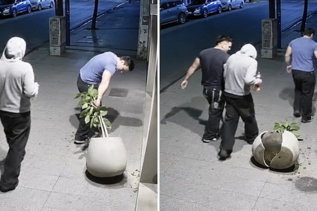 Rompieron una maceta de un local en Barrio Norte y volvieron con una nueva para pedir disculpas