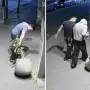 Rompieron una maceta de un local en Barrio Norte y volvieron con una nueva para pedir disculpas