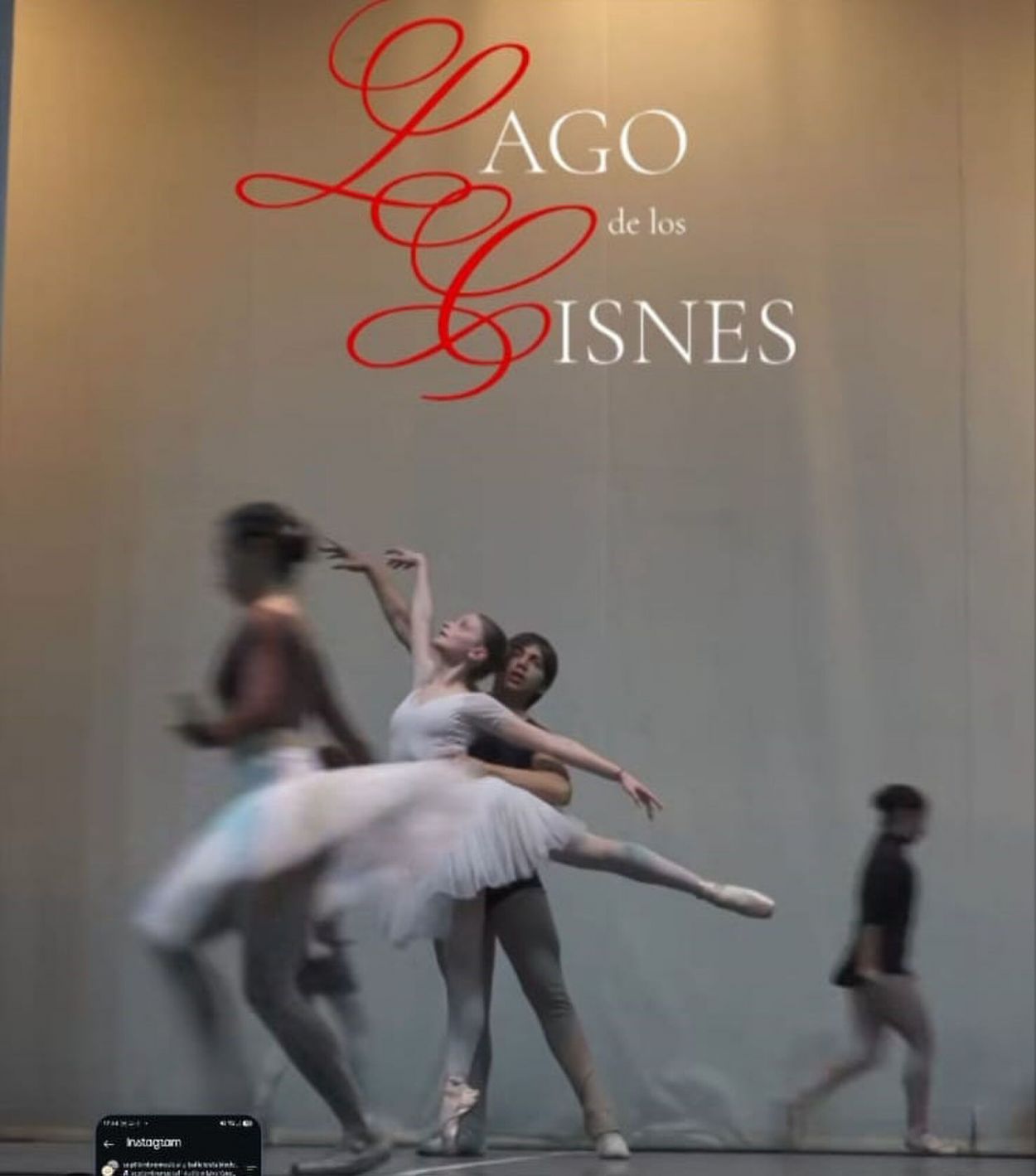 BALLET ESTABLE. La formación estrenará hoy “El Lago de los Cisnes”.