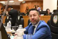 Tras el caso de los gatitos atacados en Tafí Viejo, proponen crear unidades especiales contra el maltrato animal