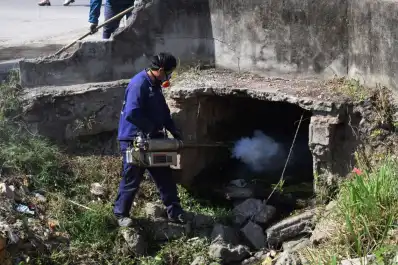 Más lluvias en Tucumán, más mosquitos: una combinación que preocupa