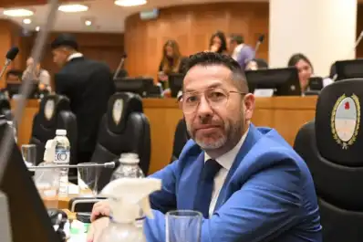 Tras el caso de los gatitos atacados en Tafí Viejo, proponen crear unidades especiales contra el maltrato animal