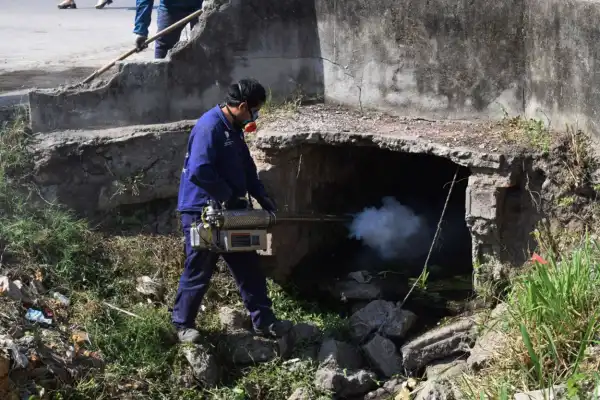 Más lluvias en Tucumán, más mosquitos: una combinación que preocupa