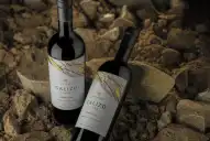 Fue como ganar un Mundial: la historia del Malbec argentino que fue elegido como el mejor vino tinto del mundo