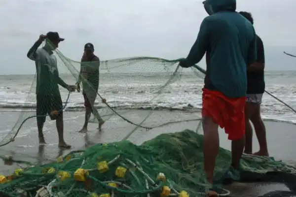 Por causa de “El Niño”, se vacían las redes de los pescadores en el Pacífico